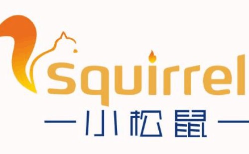 小松鼠壁掛爐噪聲異常大原因排查-壁掛爐工作時噪聲太大是怎么修