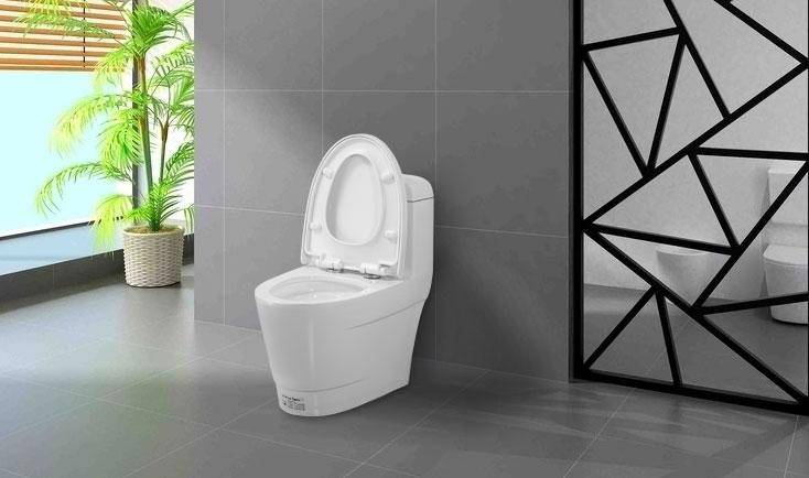 馬桶買(mǎi)什么牌子的好