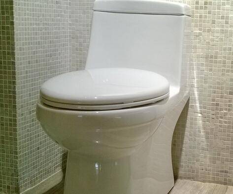 抽水馬桶坑距有幾種