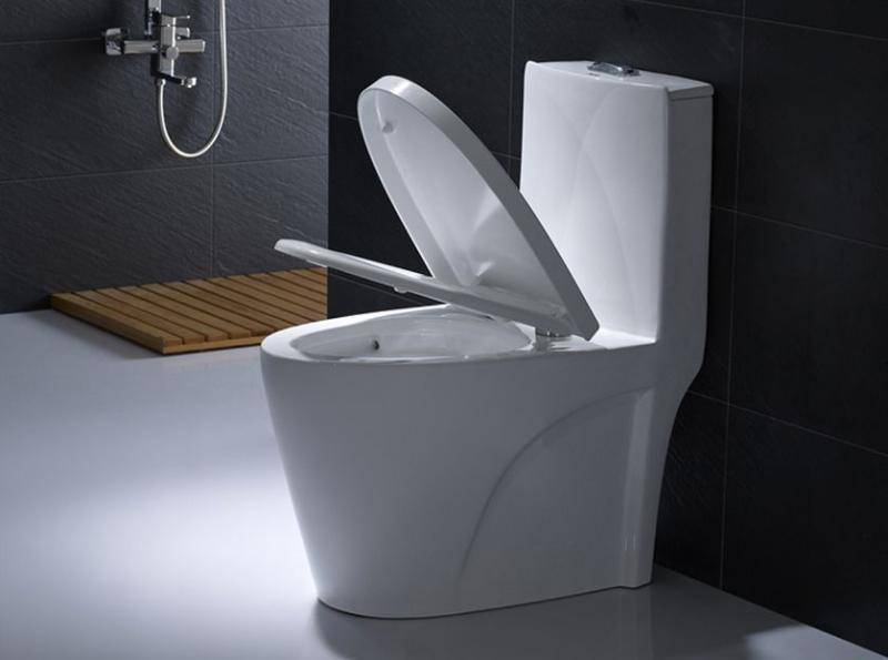 抽水馬桶堵的原因