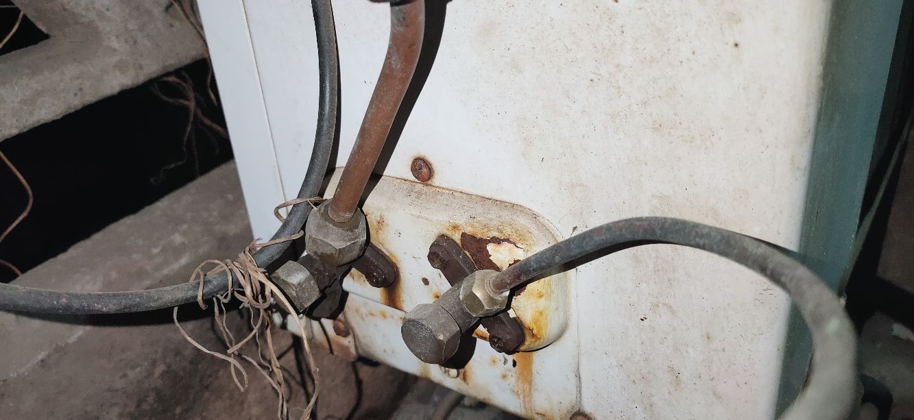 ���{ʲô��B(t��i)�ż�ѩ�N